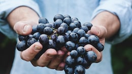 From Volcanic Ash To Vineyards: How Lanzarote Became A Wine Paradise