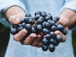 From Volcanic Ash To Vineyards: How Lanzarote Became A Wine Paradise From Volcanic Ash To Vineyards: How Lanzarote Became A Wine Paradise