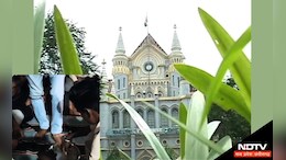 पैर धुलवाकर पानी पीने को मजबूर करने के मामले में हाईकोर्ट सख्त, NSA के तहत कार्रवाई के निर्देश