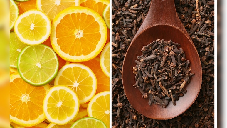 Clove And Lemon Benefits: लवंग आणि लिंबू एकत्रित खाल्ल्यास काय होईल? Clove And Lemon Benefits: लवंग आणि लिंबू एकत्रित खाल्ल्यास काय होईल?