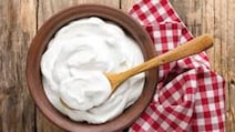 How To Set Curd Perfectly Even In Winter With These Simple Steps