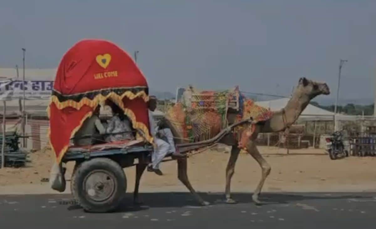 Rajasthan