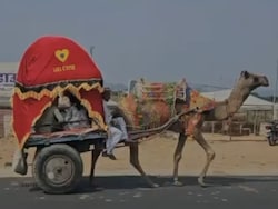 Tourists, Camels, Horses Converge As Rajasthan&#039;s Iconic Pushkar Fair Begins
