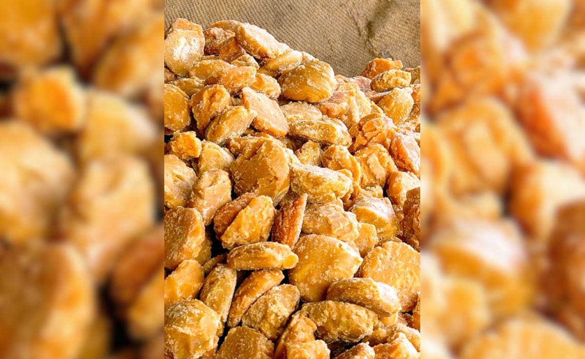 Latest and Breaking News on NDTV