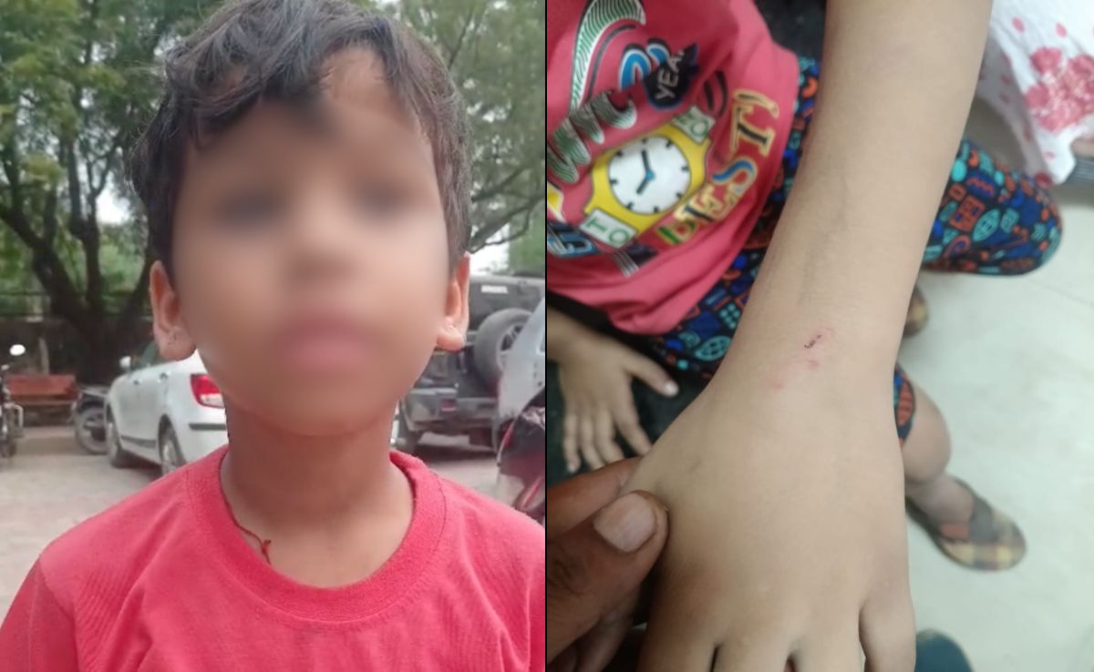 7-Year-Old Boy Attacked by Neighbor
