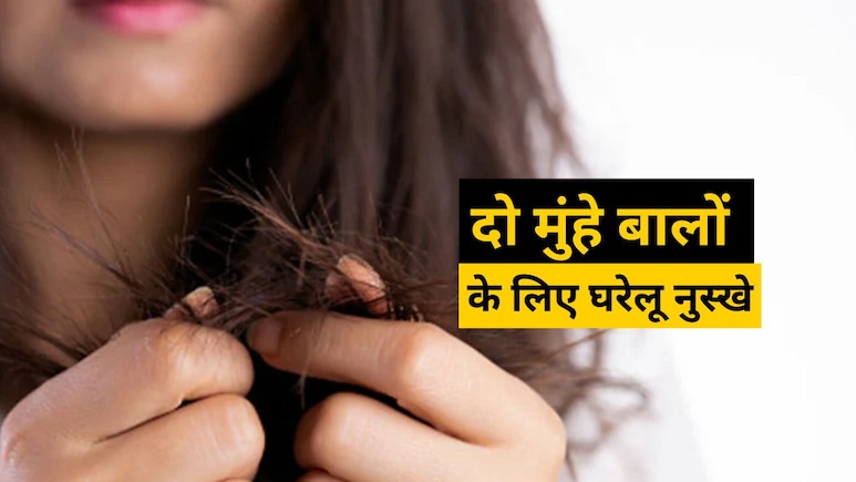 Split End Hairs: दो मुंहे बालों से हैं परेशान? बेहद काम आएंगे ये 5 घरेलू नुस्खे, शाइनी भी हो जाएंगे बाल Split End Hairs: दो मुंहे बालों से हैं परेशान? बेहद काम आएंगे ये 5 घरेलू नुस्खे, शाइनी भी हो जाएंगे बाल