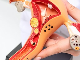 महिलाएं हो जाएं अलर्ट! प्रजनन तंत्र की अनदेखी पड़ सकती है भारी, इस तरह करें बेहतर देखभाल महिलाएं हो जाएं अलर्ट! प्रजनन तंत्र की अनदेखी पड़ सकती है भारी, इस तरह करें बेहतर देखभाल