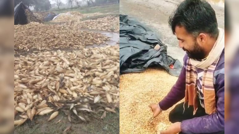 मध्य प्रदेश में 'मेंथा तूफान' की आहट! कई जिलों में बारिश की संभावना, फसलें हुई बर्बाद  मध्य प्रदेश में 'मेंथा तूफान' की आहट! कई जिलों में बारिश की संभावना, फसलें हुई बर्बाद