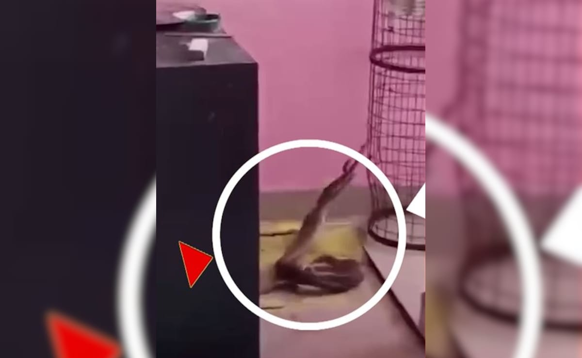 Latest and Breaking News on NDTV