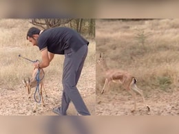 8 महीने पहले म‍िला था ह‍िरण का बच्‍चा, गाय का दूध पिलाकर किया बड़ा; जंगल में गया तो...