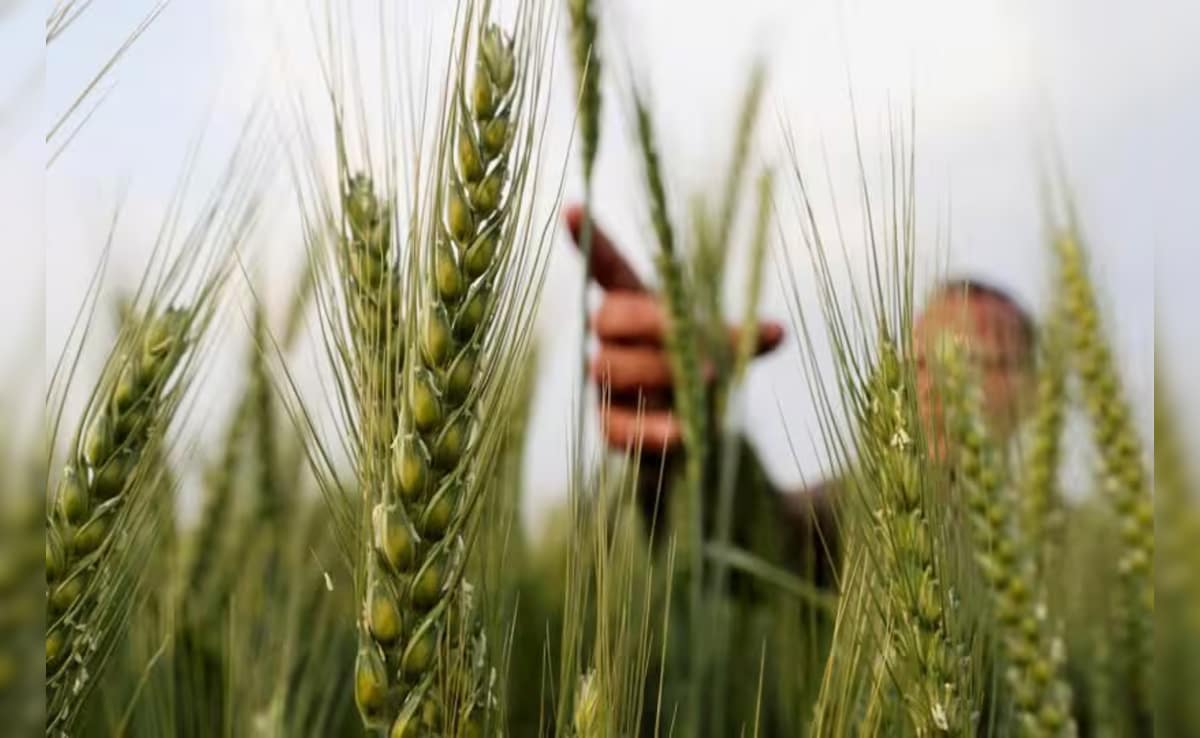 रबी सीजन 2025-26 के लिए फॉस्फेटिक और पोटाशिक उर्वरकों पर पोषक तत्व आधारित सब्सिडी दरों को मंजूरी