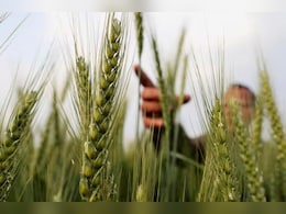 रबी सीजन 2025-26 के लिए फॉस्फेटिक और पोटाशिक उर्वरकों पर पोषक तत्व आधारित सब्सिडी दरों को मंजूरी रबी सीजन 2025-26 के लिए फॉस्फेटिक और पोटाशिक उर्वरकों पर पोषक तत्व आधारित सब्सिडी दरों को मंजूरी