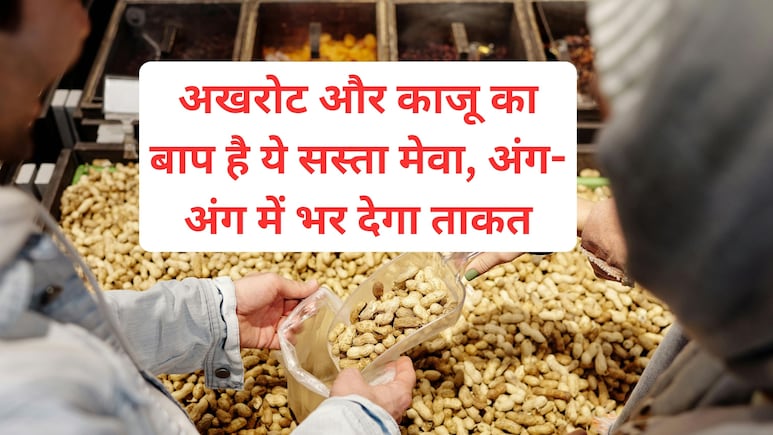 काजू और अखरोट से ज्यादा ताकतवर और सस्ता है ये सूखा मेवा, 3 बड़े फायदे जानने के बाद चौंक जाएंगे आप काजू और अखरोट से ज्यादा ताकतवर और सस्ता है ये सूखा मेवा, 3 बड़े फायदे जानने के बाद चौंक जाएंगे आप