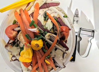 India Among Top 10 Countries Wasting The Most Food - And What You Can Do