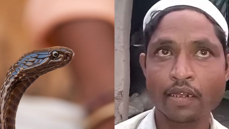 Viral News : 'बायको रात्री नागीण बनते आणि चावण्यासाठी धावते,'  घाबरलेल्या नवऱ्याची जिल्हाधिकाऱ्यांकडं तक्रार !