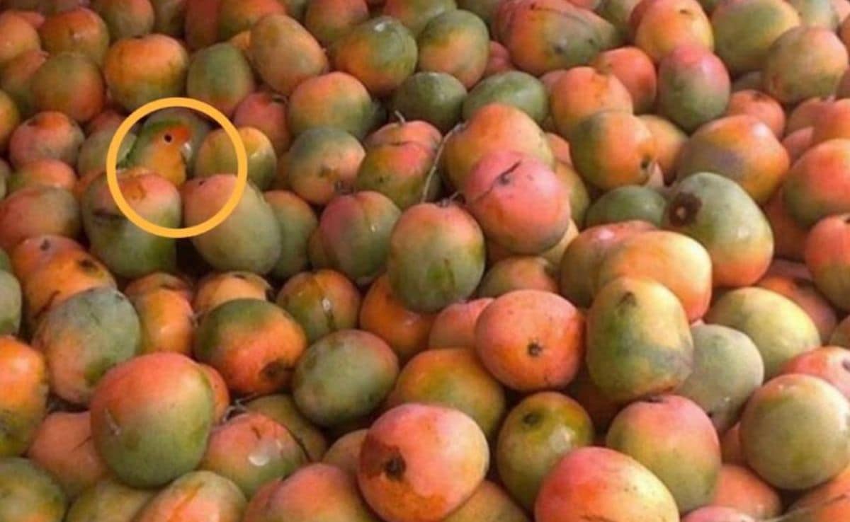 Latest and Breaking News on NDTV Latest and Breaking News on NDTV