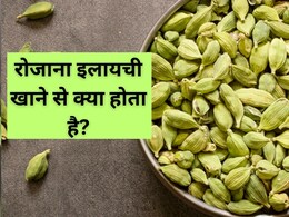 रोजाना इलायची खाने से क्या होता है? इलायची कब खानी चाहिए, जानें कैसे करें इसका सेवन रोजाना इलायची खाने से क्या होता है? इलायची कब खानी चाहिए, जानें कैसे करें इसका सेवन