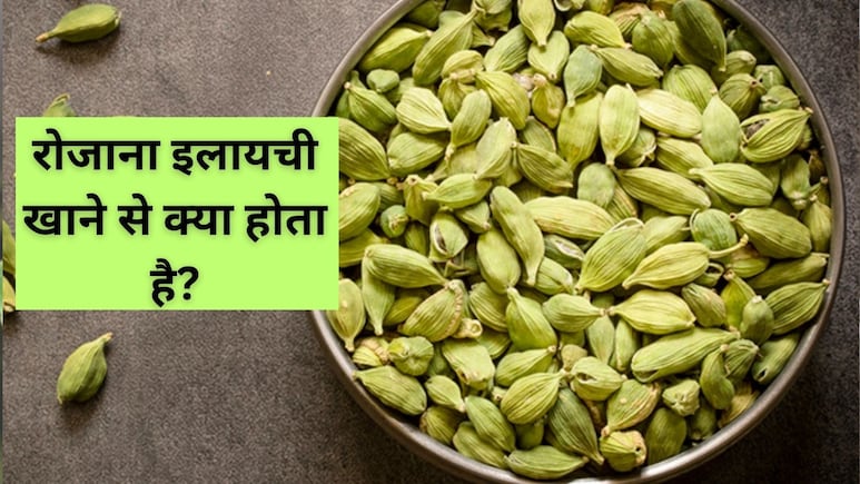 रोजाना इलायची खाने से क्या होता है? इलायची कब खानी चाहिए, जानें कैसे करें इसका सेवन रोजाना इलायची खाने से क्या होता है? इलायची कब खानी चाहिए, जानें कैसे करें इसका सेवन