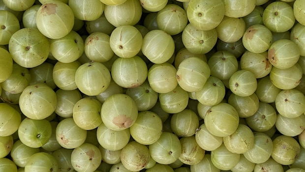 Add image caption here