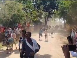 Rajasthan: डूंगरपुर के इस गांव में भाई दूज पर अनूठी परंपरा, साल भर का हाल जानने के लिए दौड़ती हैं 200 गायें Rajasthan: डूंगरपुर के इस गांव में भाई दूज पर अनूठी परंपरा, साल भर का हाल जानने के लिए दौड़ती हैं 200 गायें