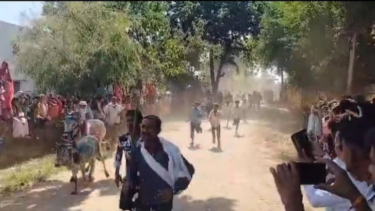 Rajasthan: डूंगरपुर के इस गांव में भाई दूज पर अनूठी परंपरा, साल भर का हाल जानने के लिए दौड़ती हैं 200 गायें Rajasthan: डूंगरपुर के इस गांव में भाई दूज पर अनूठी परंपरा, साल भर का हाल जानने के लिए दौड़ती हैं 200 गायें