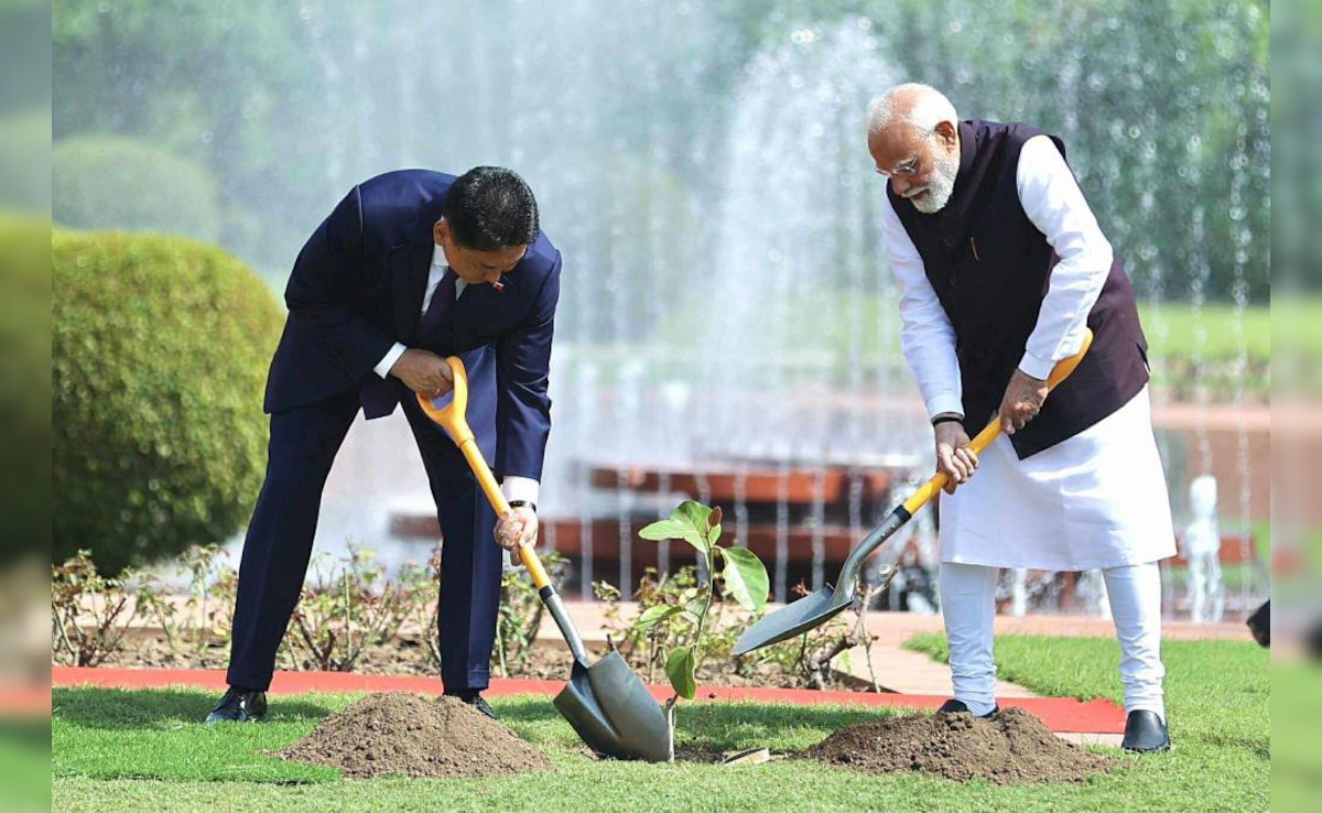 PM Modi and Mongolian President planted a sapling at Hyderabad House in New Delhi. PM Modi and Mongolian President planted a sapling at Hyderabad House in New Delhi.