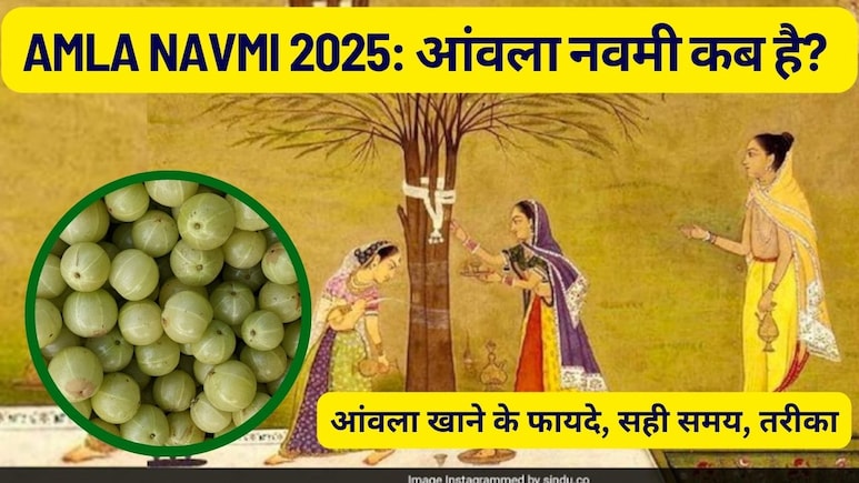 Amla Navmi 2025: आंवला नवमी कब है? जानें आंवला पेड़ लगाने का धार्मिक महत्व, आंवला खाने के फायदे, सही समय और तरीका