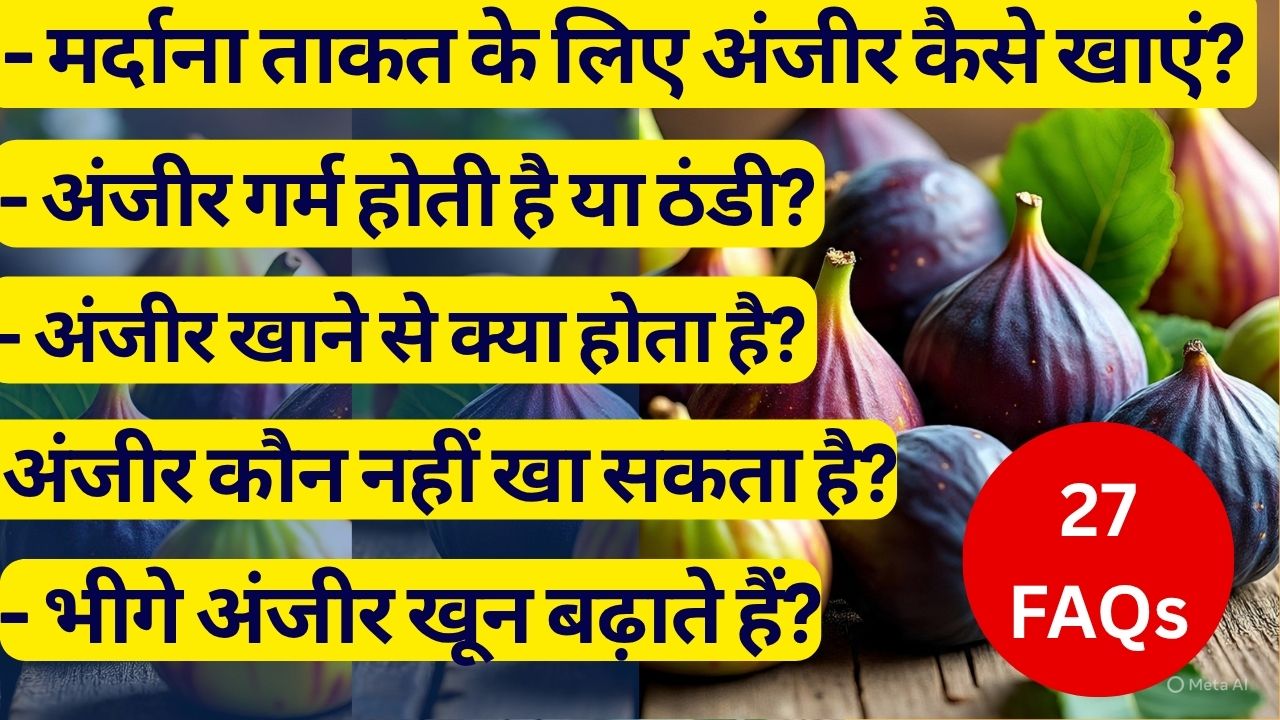अंजीर के फायदे-नुकसान, क्या भीगे हुए अंजीर खून बढ़ाते हैं, अंजीर गर्म होती है या ठंडी, 1 किलो अंजीर की कीमत