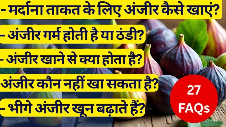 अंजीर के फायदे-नुकसान, क्या भीगे हुए अंजीर खून बढ़ाते हैं, अंजीर गर्म होती है या ठंडी, 1 किलो अंजीर की कीमत | 27 FAQS अंजीर के फायदे-नुकसान, क्या भीगे हुए अंजीर खून बढ़ाते हैं, अंजीर गर्म होती है या ठंडी, 1 किलो अंजीर की कीमत | 27 FAQS
