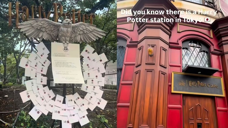 Watch: Vlogger Gives A Tour Of Tokyo's Harry Potter-Themed Train Station Watch: Vlogger Gives A Tour Of Tokyo's Harry Potter-Themed Train Station