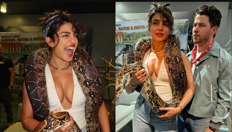 Priyanka Chopra Rocks A Real Python As Necklace, Asks Fans To "Notice A Theme Here" In Latest Post