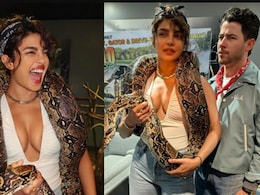 Priyanka Chopra Rocks A Real Python As Necklace, Asks Fans To "Notice A Theme Here" In Latest Post Priyanka Chopra Rocks A Real Python As Necklace, Asks Fans To "Notice A Theme Here" In Latest Post