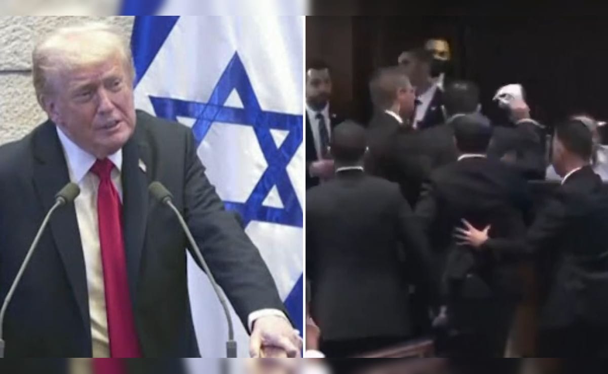 "That Was Very Efficient": Trump As Protester Dragged Out Of Israel Parliament