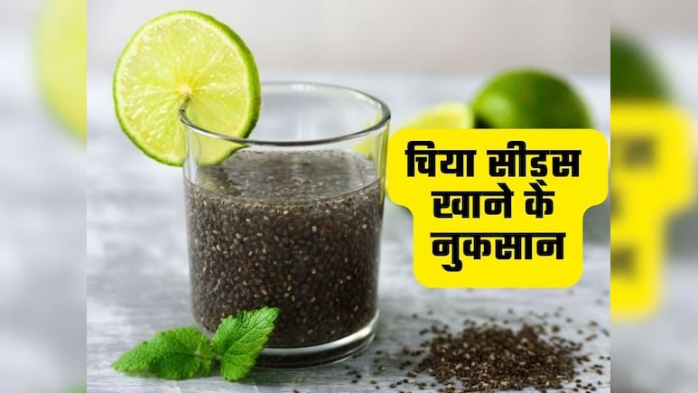 इन 4 लोगों को नहीं खाना चाहिए चिया सीड्स, हो सकती है गंभीर समस्या इन 4 लोगों को नहीं खाना चाहिए चिया सीड्स, हो सकती है गंभीर समस्या
