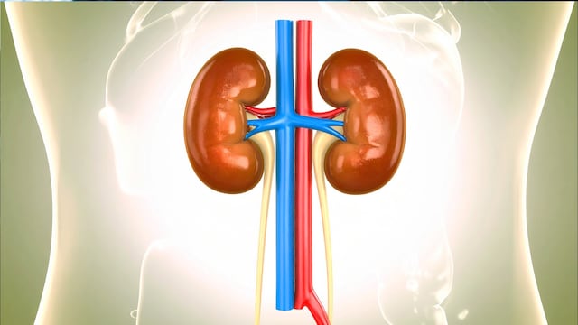 Drinking enough water is the simplest and most effective way to support kidney health