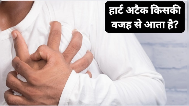 हार्ट अटैक क्यों आता है? यहां जाने इसके पीछे के 5 बड़े कारण हार्ट अटैक क्यों आता है? यहां जाने इसके पीछे के 5 बड़े कारण