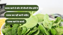 पालक ठंडी है या गरम? रोज खाएंगे तो मिलेंगे ये 5 धांसू फायदे!