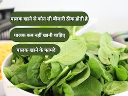 पालक ठंडी है या गरम? रोज खाएंगे तो मिलेंगे ये 5 धांसू फायदे!