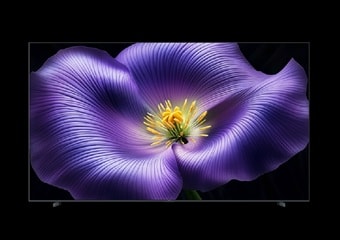 98 इंच डिस्प्ले के साथ Xiaomi TV S Pro Mini LED Series 2026 लॉन्च, जानें फीचर्स और कीमत
