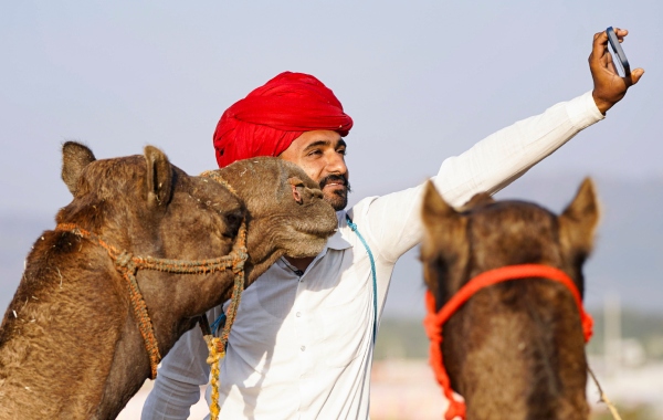 'लंगड़ी टांग' में विदेशी पीछे, नागौर की पिंकू बनी विजेता; पुष्कर पशु मेला और देसी रंगों की रौनक चरम पर