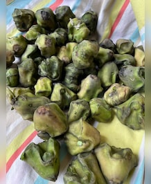Health Benefits Of Water Chestnuts