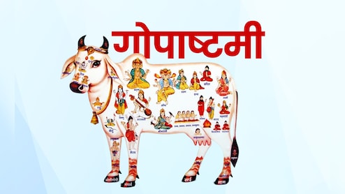 Gopashtami 2025: आज है गोपाष्टमी, जानें गोमाता की पूजा की सही विधि, शुभ मुहूर्त और धार्मिक महत्व