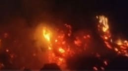 Rajasthan: भरतपुर में भीषण आग में 8 भेड़ें जिंदा जलीं, लाखों का चारा भी जलकर हुआ राख