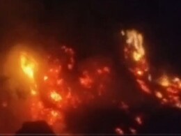 Rajasthan: भरतपुर में भीषण आग में 8 भेड़ें जिंदा जलीं, लाखों का चारा भी जलकर हुआ राख Rajasthan: भरतपुर में भीषण आग में 8 भेड़ें जिंदा जलीं, लाखों का चारा भी जलकर हुआ राख