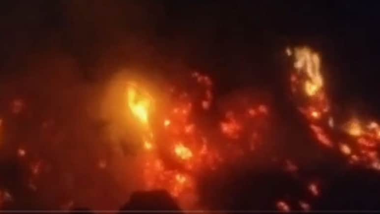 Rajasthan: भरतपुर में भीषण आग में 8 भेड़ें जिंदा जलीं, लाखों का चारा भी जलकर हुआ राख Rajasthan: भरतपुर में भीषण आग में 8 भेड़ें जिंदा जलीं, लाखों का चारा भी जलकर हुआ राख