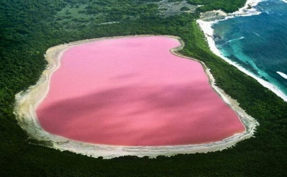 Latest and Breaking News on NDTV Latest and Breaking News on NDTV