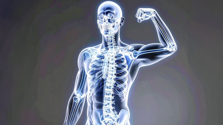 Osteoporosis Day: हड्डियों की इस खतरनाक बीमारी का कारण क्या है? जानें राहत पाने के कारगर आयुर्वेदिक उपाय Osteoporosis Day: हड्डियों की इस खतरनाक बीमारी का कारण क्या है? जानें राहत पाने के कारगर आयुर्वेदिक उपाय