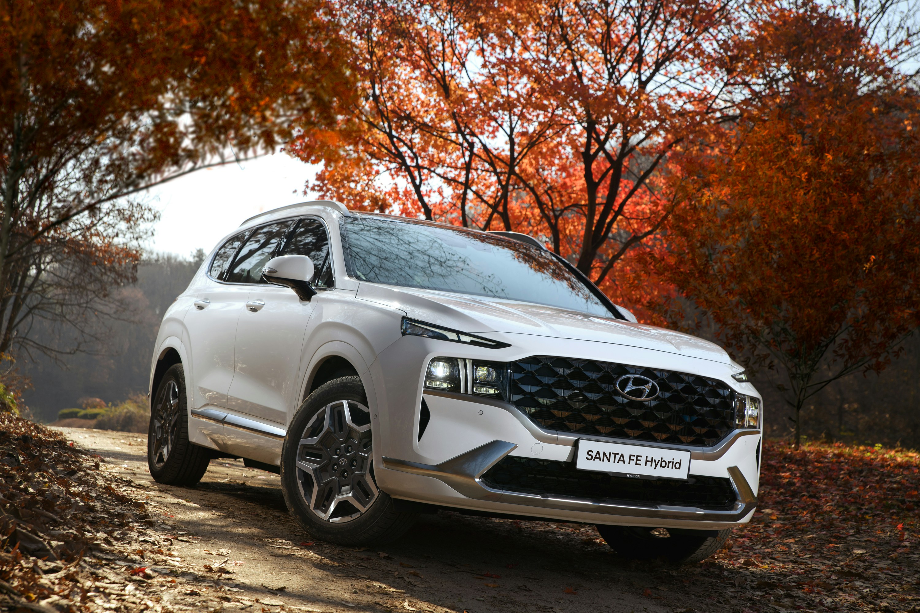 'Buy' Hyundai Motor Shares Maintains Motilal Oswal, Sees 23% Potential Upside &mdash; Here's Why
