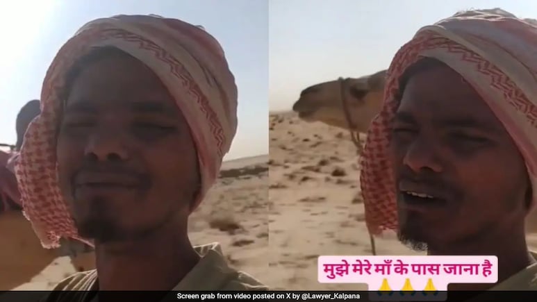 "I Will Die": Indian Man, Out In Saudi Desert With A Camel, Asks PM For Help "I Will Die": Indian Man, Out In Saudi Desert With A Camel, Asks PM For Help
