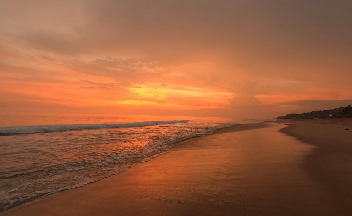 Latest and Breaking News on NDTV Latest and Breaking News on NDTV